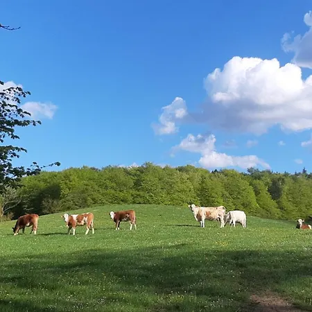 Diedrichsen Brekendorf