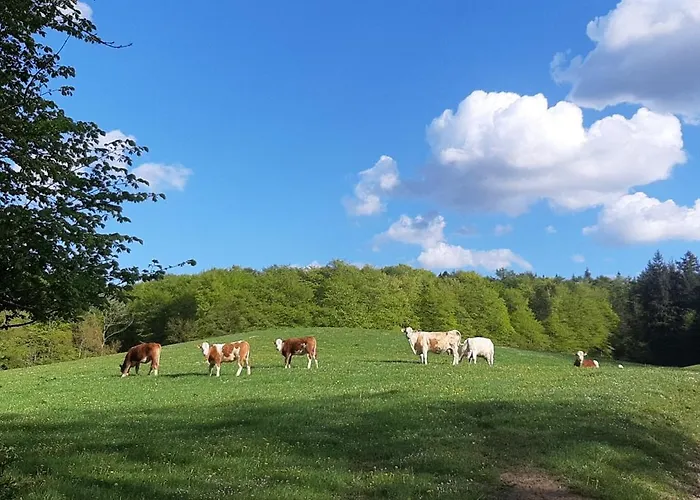 Diedrichsen Brekendorf