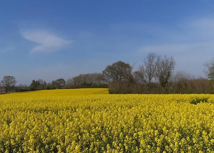 Diedrichsen Дом отдыха Brekendorf