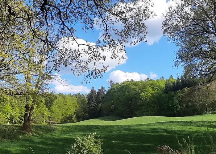 Дом отдыха Diedrichsen Brekendorf