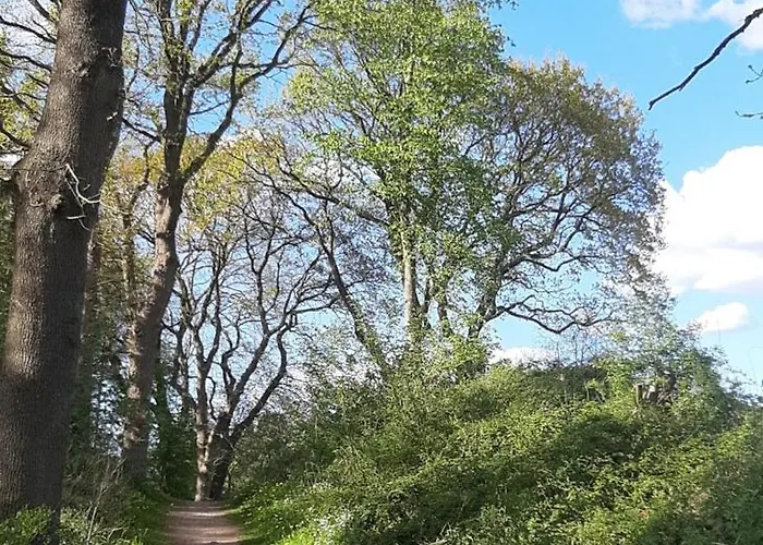 Diedrichsen * Brekendorf